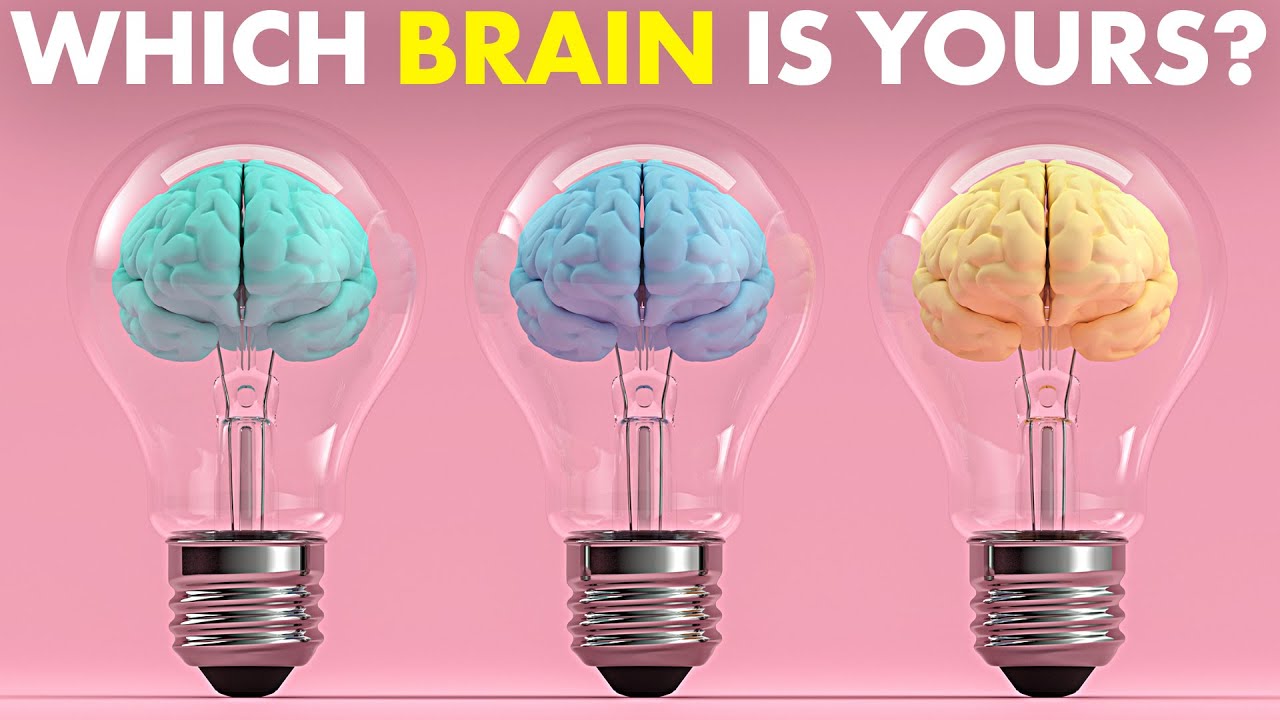 the differences between a bipolar brain and a normal brain_7cbb60d5 dc3c 464e bd9e f1e95632a58f