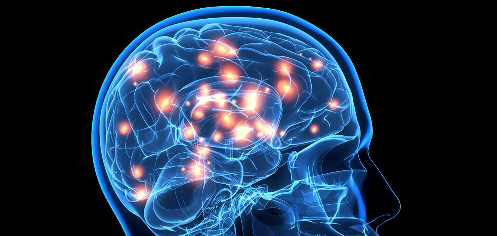 the differences between a bipolar brain and a normal brain_8d725046 7f65 4cc4 9c4e 0c7f445eb879