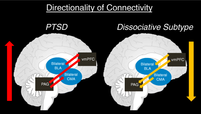 understanding the link between ptsd and dissociation_9c8acd36 6142 497e be9f ed4b5bb60b36