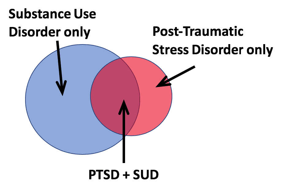 understanding the relationship between ptsd and substance abuse_8c8d9739 a215 482b b0c8 30caf19af19c